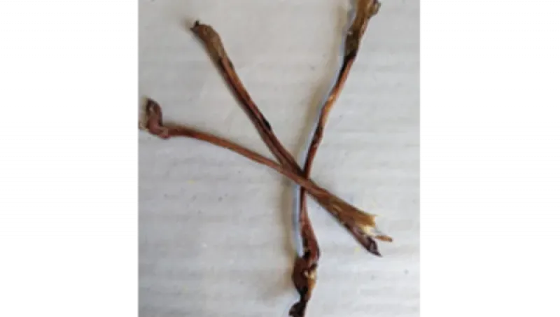 Lamm-Ziemer, 75g